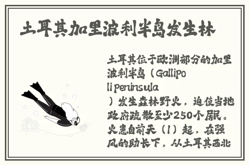 三㚫港版普通话版将欣